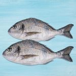 Seabream