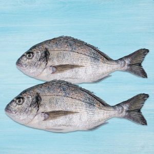 Seabream