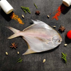 Chinese pomfret (Paplet)