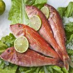 Red Mullet