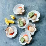 Scallops