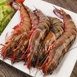 Tiger Prawn