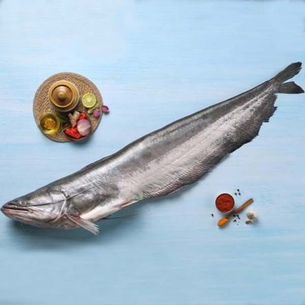 Fish Port – Your Trusted Fish Shop In Bristol