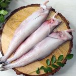 Bombayduck