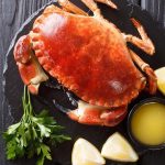 Hart Live Crab