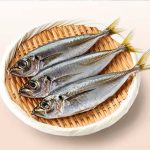 Horse Mackerel