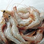Prawn
